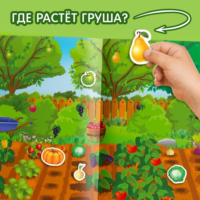 Наклейки многоразовые &laquo;Что где растёт&raquo;, формат А4