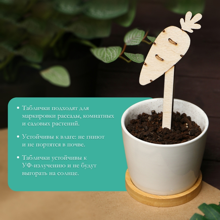 Таблички садовые для маркировки, 12 см, набор 8 шт., дерево, &laquo;Морковь&raquo;, Greengo