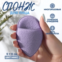 Спонж для умывания &laquo;Капелька&raquo;, 9 &times; 6 см, с карманом, цвет МИКС