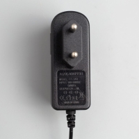 Гирлянда &laquo;Мишура&raquo; 10 м роса, IP20, серебристая нить, 200 LED, свечение мульти, 12 В