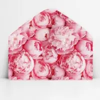 Конверт для денег &laquo;Пионы&raquo;, 16.5 х 8 см