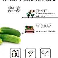 Семена Огурец "Коротышка", 0,4 г