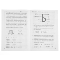 Рабочая тетрадь для детей 5-6 лет &laquo;Развиваем навыки чтения и грамотного письма&raquo;, часть 2, Бортникова Е.