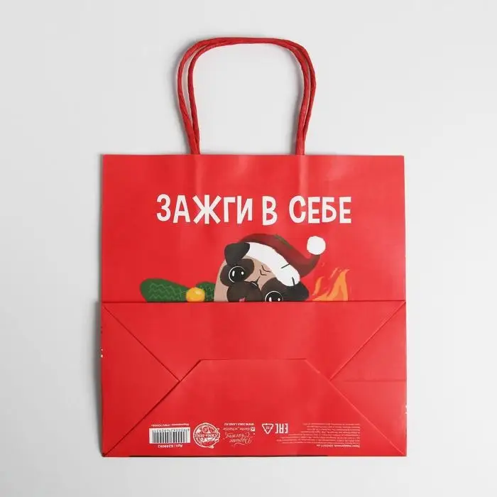 Пакет подарочный новогодний &laquo;Зажги в себе&raquo;, 22 х 22 х 11 см