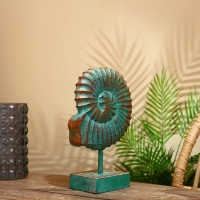 Декор интерьерный &laquo;Раковина&raquo;, 22&times;9&times;36 см, албезия