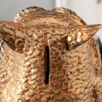 Копилка "Сова с книгой" 25х18 см, бронза с серебром