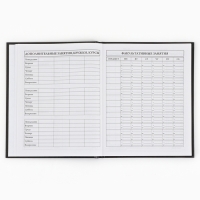 Дневник школьный 1-4 класса, в твердой обложке, 48 л &laquo;Аниме комикс&raquo;