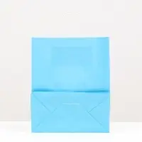 Пакет крафт &laquo;Радуга&raquo; голубой, 22&times;12&times;27 см