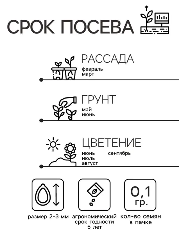 Семена цветов Мимоза "Лирика", стыдливая, розовая, Евро, 0,1 г