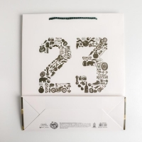 Пакет подарочный ламинированный вертикальный, упаковка, &laquo;23 февраля&raquo;, M 26 х 30 х 9 см