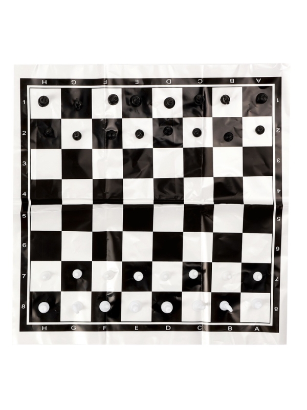 Шахматы 22 х 22 см, король h-2.1 см, d-0.9 см, фигуры пластик