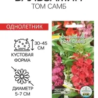 Семена цветов однолетние Бальзамин Том Самб 0,1 г