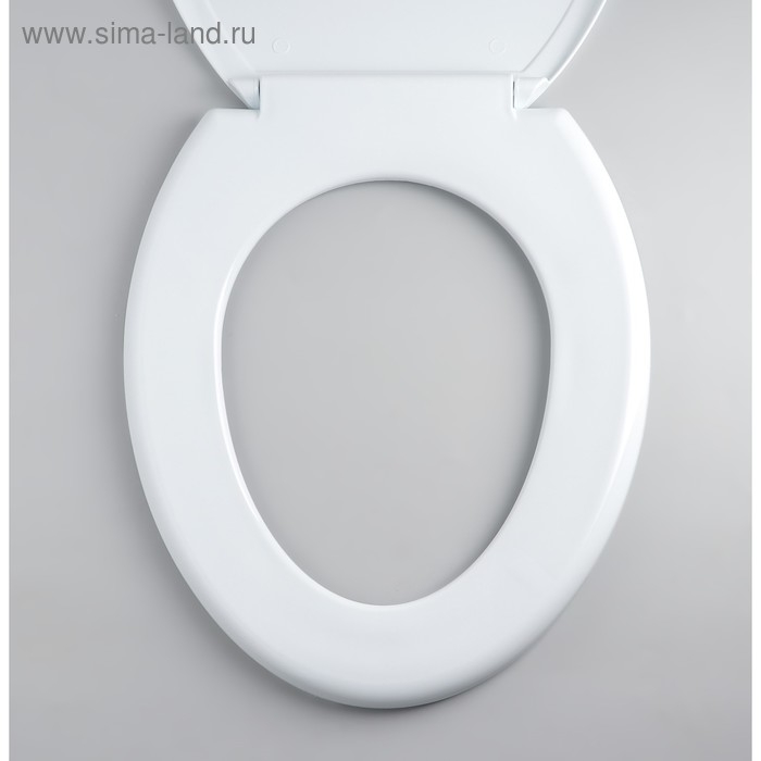 Сиденье для унитаза с крышкой Росспласт &laquo;Декор. Сакура&raquo;, 46&times;36 см, цвет белый