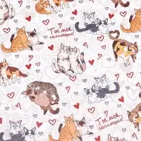 Бумага упаковочная глянцевая &laquo;Ты мое солнышко&raquo;, 60 &times; 90 см,