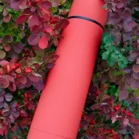 Термос Skydive, красный