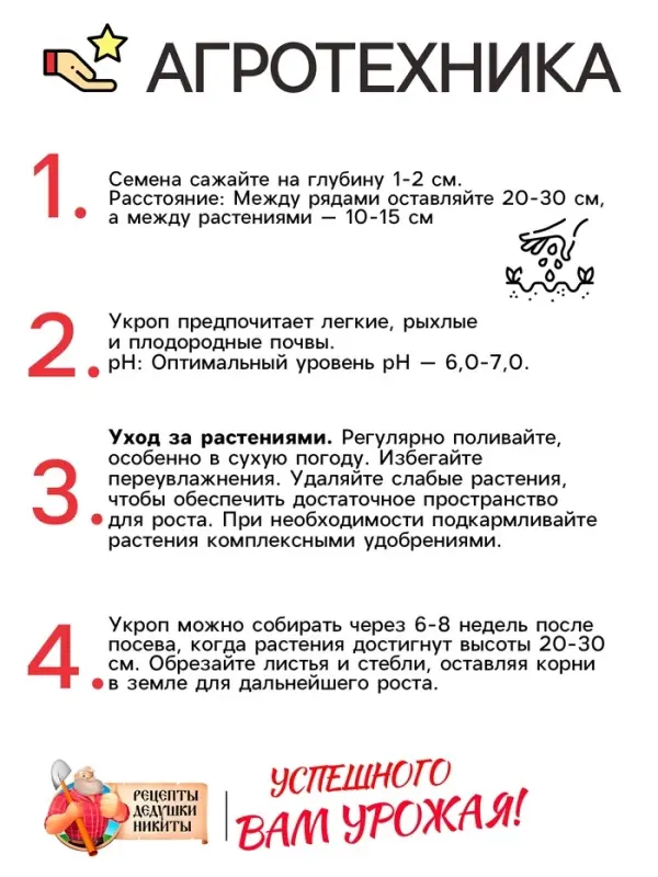 Семена Укроп "Кибрай", 1 г