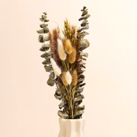 Сухоцветы &laquo;Мечта&raquo;, набор из 4 видов, 48 &times; 16 &times; 6 см