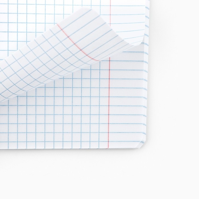 Тетрадь в клетку, 48 листов А5 на скрепке МИКС, &laquo;1 сентября: Шрифтовые черные&raquo;, обложка мелованный картон 230 грблок №1  белизна 96%