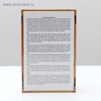 Пастила &laquo;Пастилушка&raquo; яблоко, 800 г