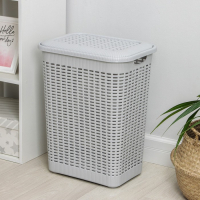 Корзина бельевая с крышкой, 50 л, 42&times;31&times;56 см, цвет МИКС