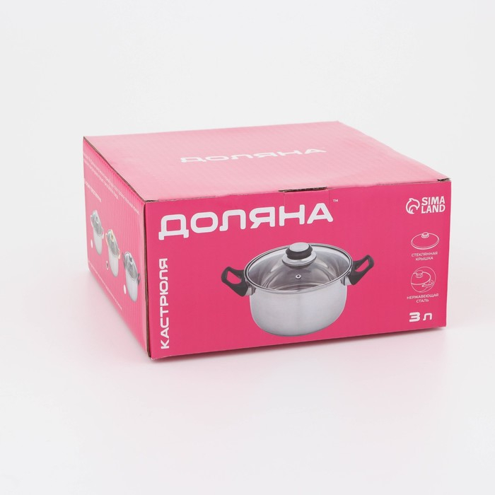 Кастрюля из нержавеющей стали с крышкой Доляна &laquo;Роскошь&raquo;, 3 л, d=20 см