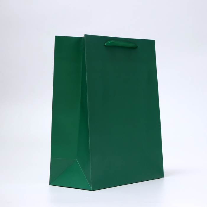Пакет ламинированный &laquo;Зелёный&raquo;, 26 х 32 х 12 см
