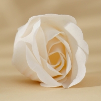 Подарочный набор косметики &laquo;Лучшей на свете&raquo;, мыло лепестковое, ЧИСТОЕ СЧАСТЬЕ