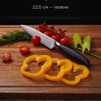 Набор кухонных ножей из 3 предметов PRO collection 3SS