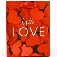 Пакет подарочный ламинированный &laquo;С любовью&raquo;, S 12 х 15 х 5.5 см