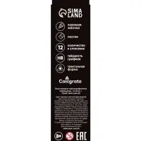 Набор карандашей чернографитных 12 штук, Calligrata Classic, с ластиком, заточенные, пластик, трехгранные, оранжевые