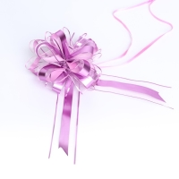 Бант-шар №6.5