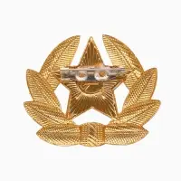 Значок "Кокарда" Советской армии, красный в золоте