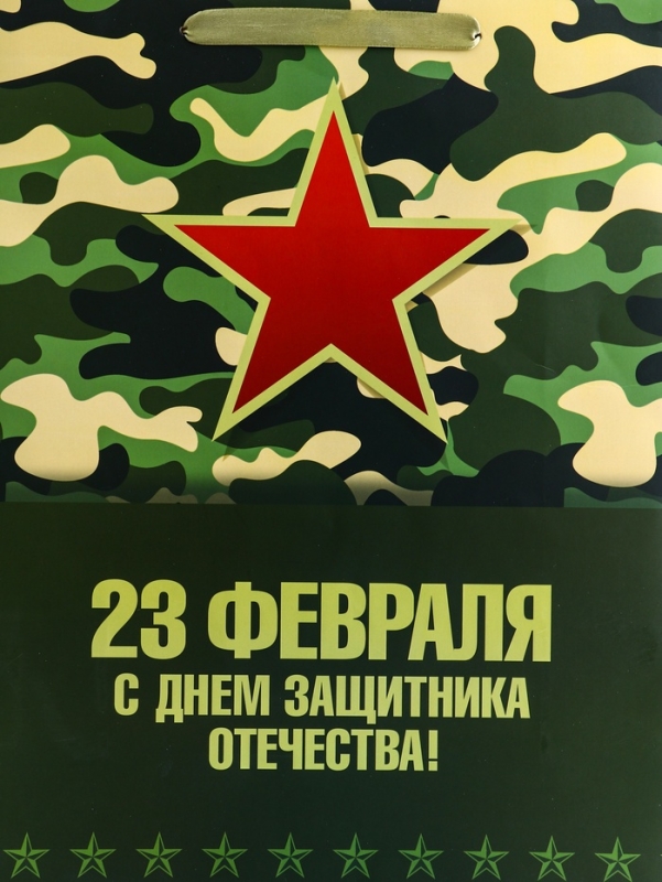 Пакет подарочный вертикальный &laquo;С Днём защитника Отечества! &raquo;, L 31 &times; 40 &times; 12 см