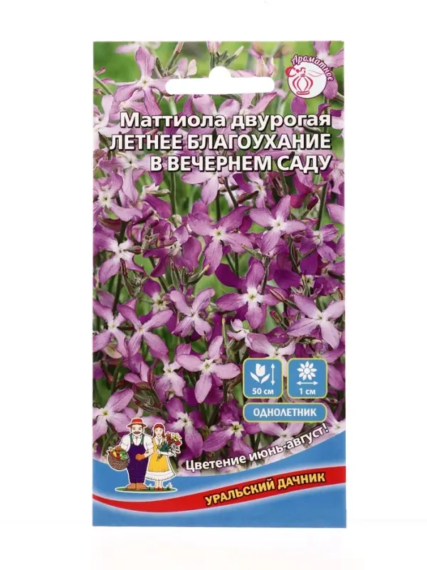 Семена Цветы Маттиола двурогая Летнее благоухание в вечернем саду (УД) Е/П , Е/П,  0,25 г.