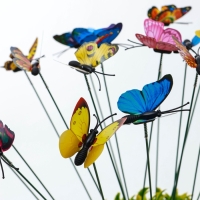 Набор штекеров "Бабочки" в наборе 30шт, 4см