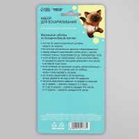 Набор для вскармливания &laquo;Пушистое счастье&raquo; для котят, бутылочка 60 мл, ёршик, соски