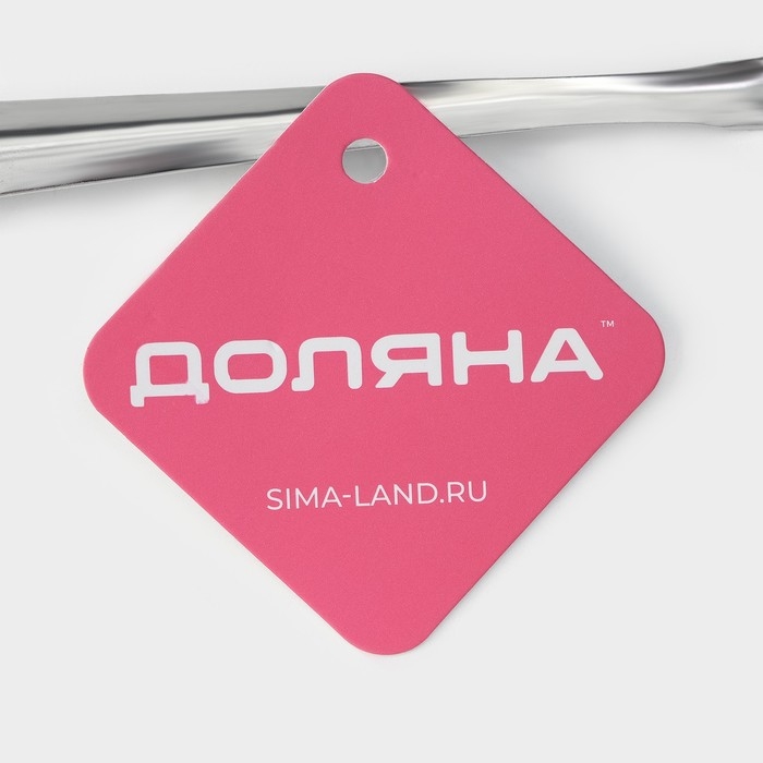 Сито для снятия пены Доляна &laquo;Металлик&raquo;, 30&times;13 см, цвет серебристый