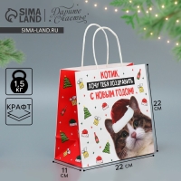 Пакет подарочный новогодний крафтовый &laquo;Котик&raquo;, 22 х 22 х 11 см, Новый год