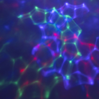 Световой прибор &laquo;Дед Мороз с шаром&raquo; 10 см, свечение RGB, 220 В