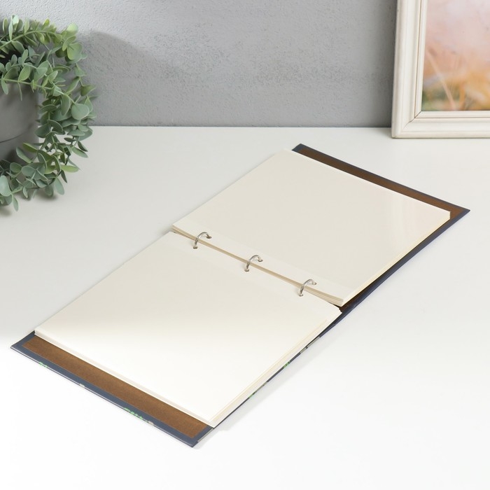 Фотоальбом на кольцах на 200 фото 6х9 см "Коалы на деревьях" 3х22,7х23,5 см