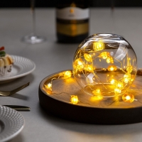 Гирлянда &laquo;Нить&raquo; 2 м роса с насадками &laquo;Тыква&raquo;, IP20, серебристая нить, 20 LED, свечение тёплое белое, 2 режима, ААх2