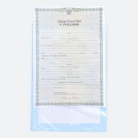 Папка для свидетельства о рождении &laquo;Коллаж для мальчика&raquo;, А5