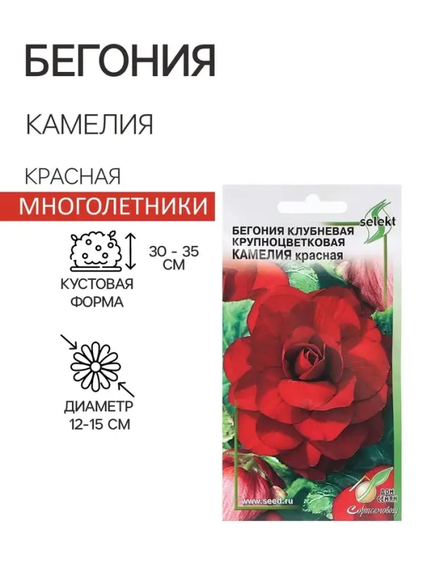 Семена цветов Бегония крупноцвет "Камелия",  красная,     10 шт