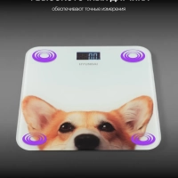 Весы напольные электронные H-BS03671 макс.180кг