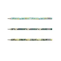 Карандаш чернографитный с ластиком ErichKrause "Avocado", HB, грифель d=2.2 мм, дерево, трeхгранный с принтом, в тубусе, микс