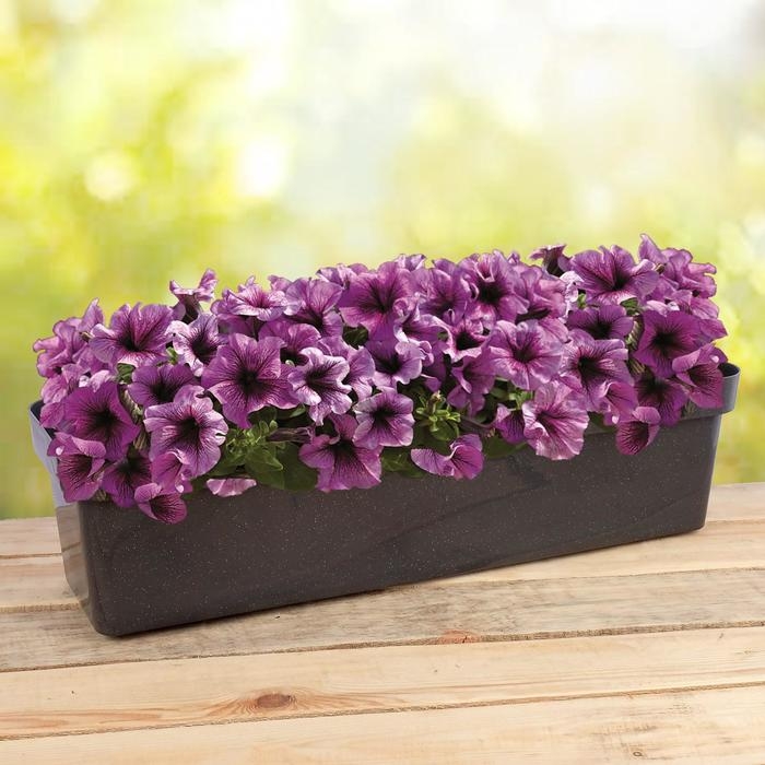 Ящик балконный для цветов &laquo;Эко&raquo;, 60 см, 12 л, цвет микс