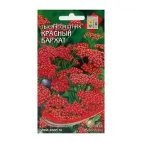 Набор семян Тысячелистник "Ахиллея", 5 шт.