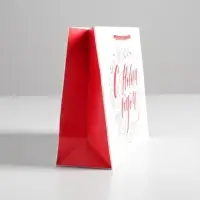 Пакет ламинированный &laquo;С Новым годом!&raquo;, MS 23 х 18 х 8 см