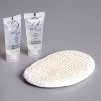 Набор для отелей (шампунь, гель для душа и мочалка)