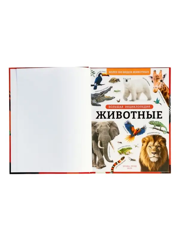 Энциклопедия в твёрдом переплёте "Животные", 128 страниц
